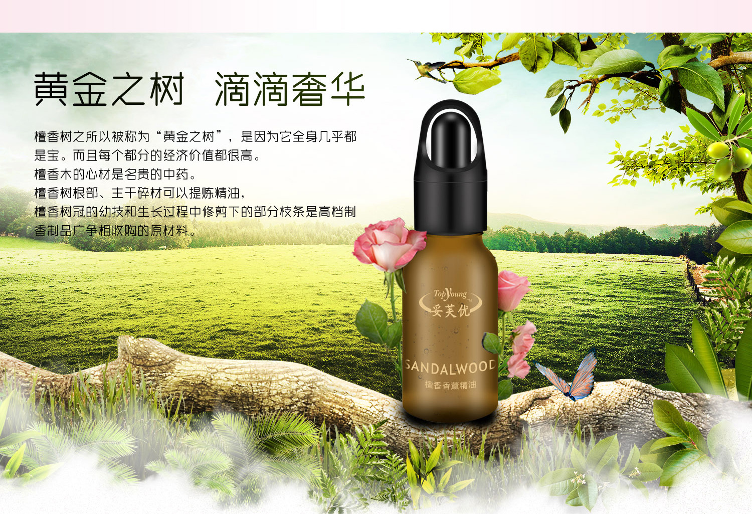 妥芙优芳香精油套盒5瓶装/玫瑰香薰,檀香香薰,玫瑰莹润保湿,舒缓放松